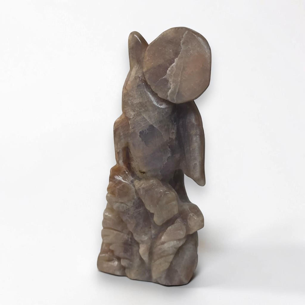 Dolphin crystal sculpture in brown-gray stone, carved fins and curled tail