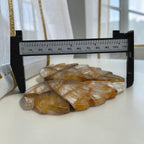 Golden Healer quartz wings beside a width measuring gauge