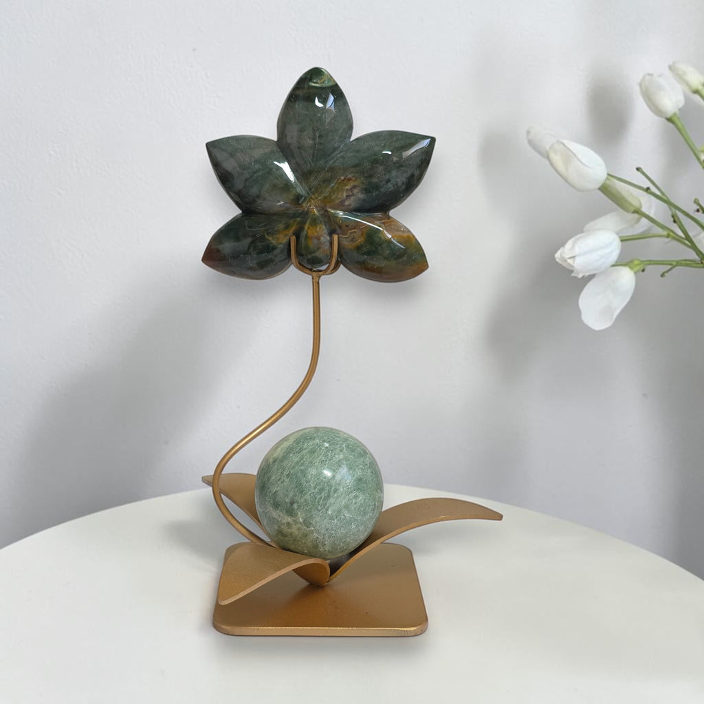 Ocean Jasper orchid with stand beside a ruler showing overall height