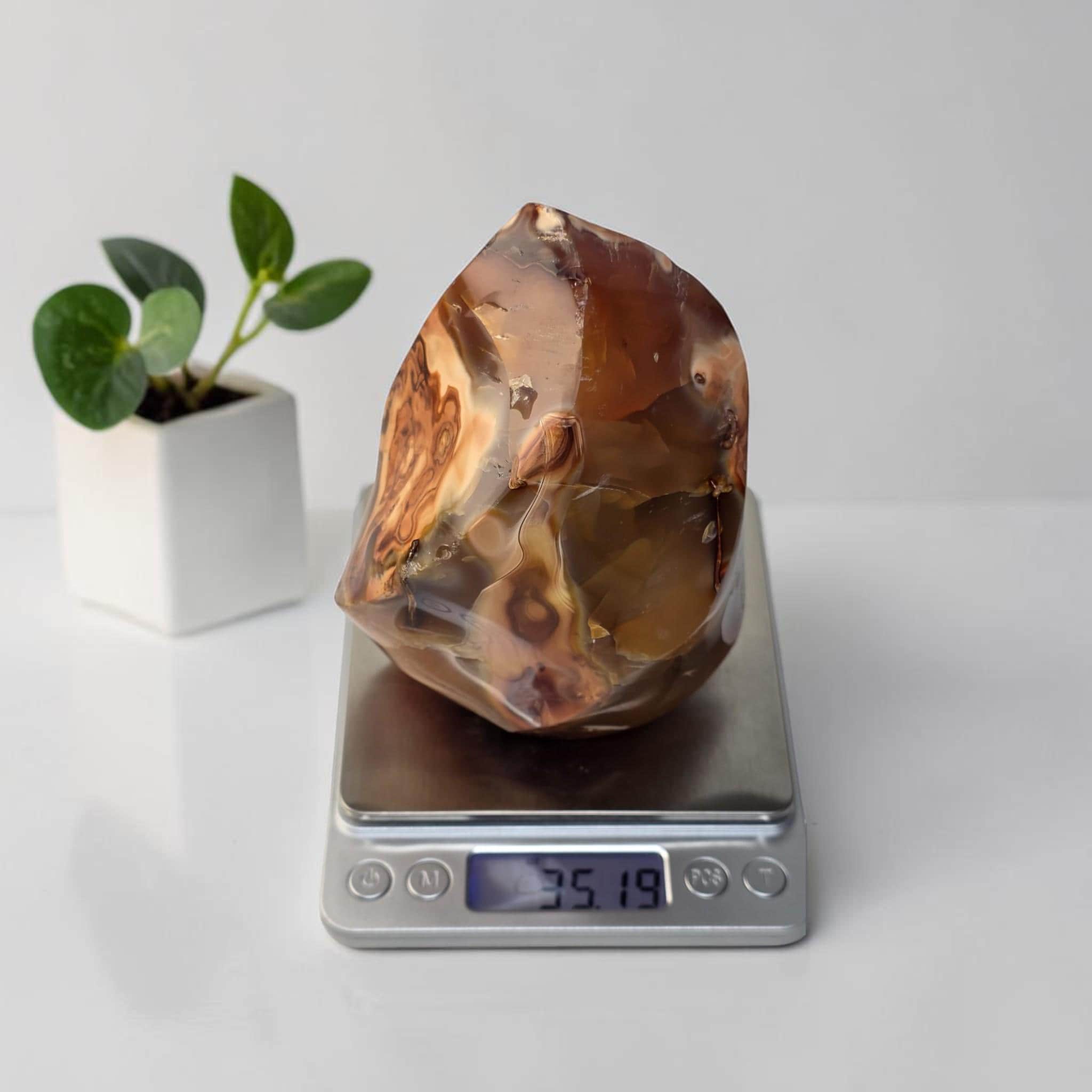Carnelian Flame Polished Orange Agate Crystal Sacral Chakra Decor Meditation Stone