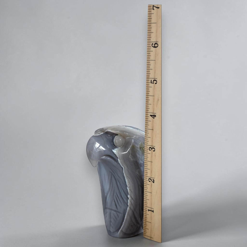 Eagle head crystal sculpture with ruler for scale, glossy gray-blue stone