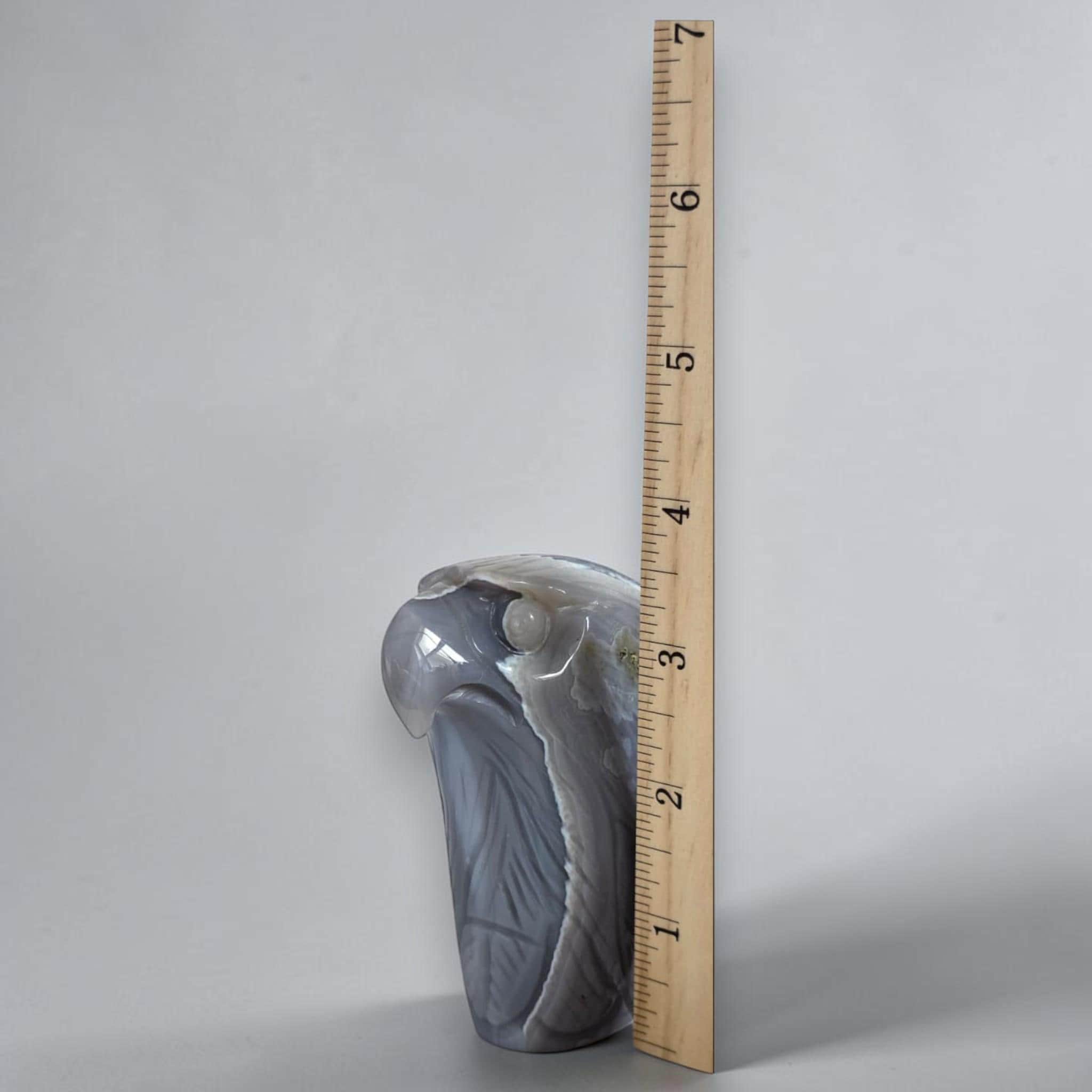 Eagle head crystal sculpture with ruler for scale, glossy gray-blue stone