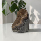 Brown amethyst geode with rough druzy quartz top and gray-purple banded interior