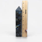 Labradorite crystal tower next to ruler, dark stone with blue highlights, pointed end