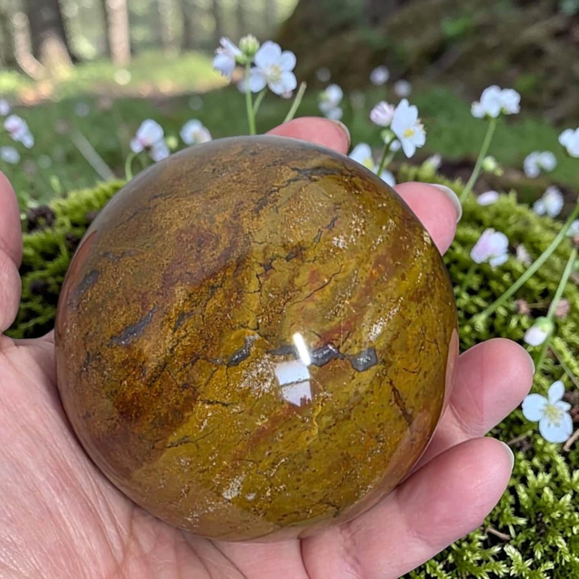Ocean Jasper Sphere 70mm (2.75") | Deep Green Nephrite Jade Orb | Crystal Sphere Decor