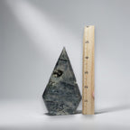 Ocean jasper druzy crystal point, dark blue-gray with cream druzy beside measuring tape