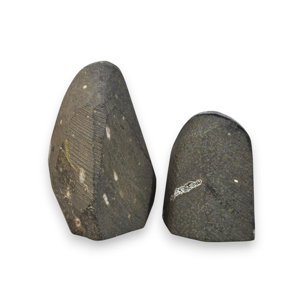 Amethyst quartz crystal pieces showing dark backs with light striations and small yellow flecks