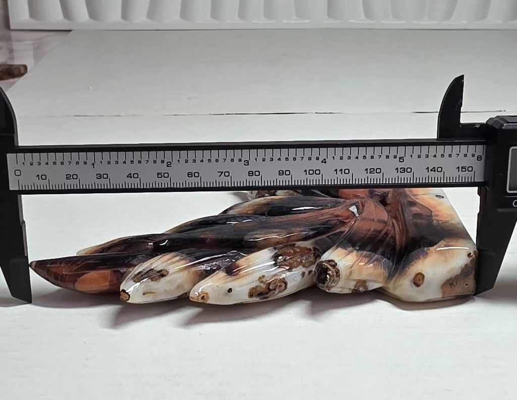 Banded Agate Nine Tails Fox XL depth measurement approximately 4 inches