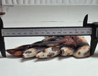 Banded Agate Nine Tails Fox XL depth measurement approximately 4 inches