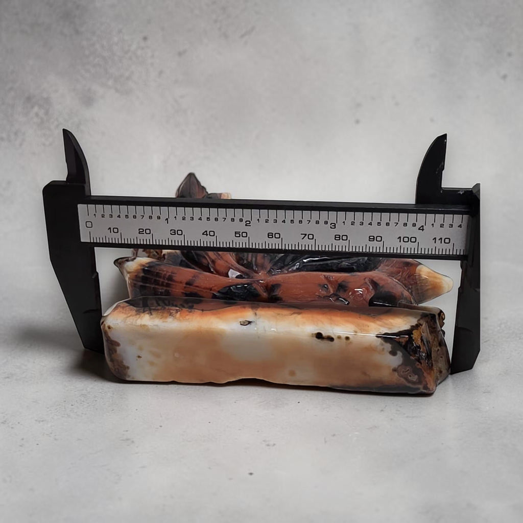 Banded Agate Nine Tails Fox XL width measurement approximately 6 inches