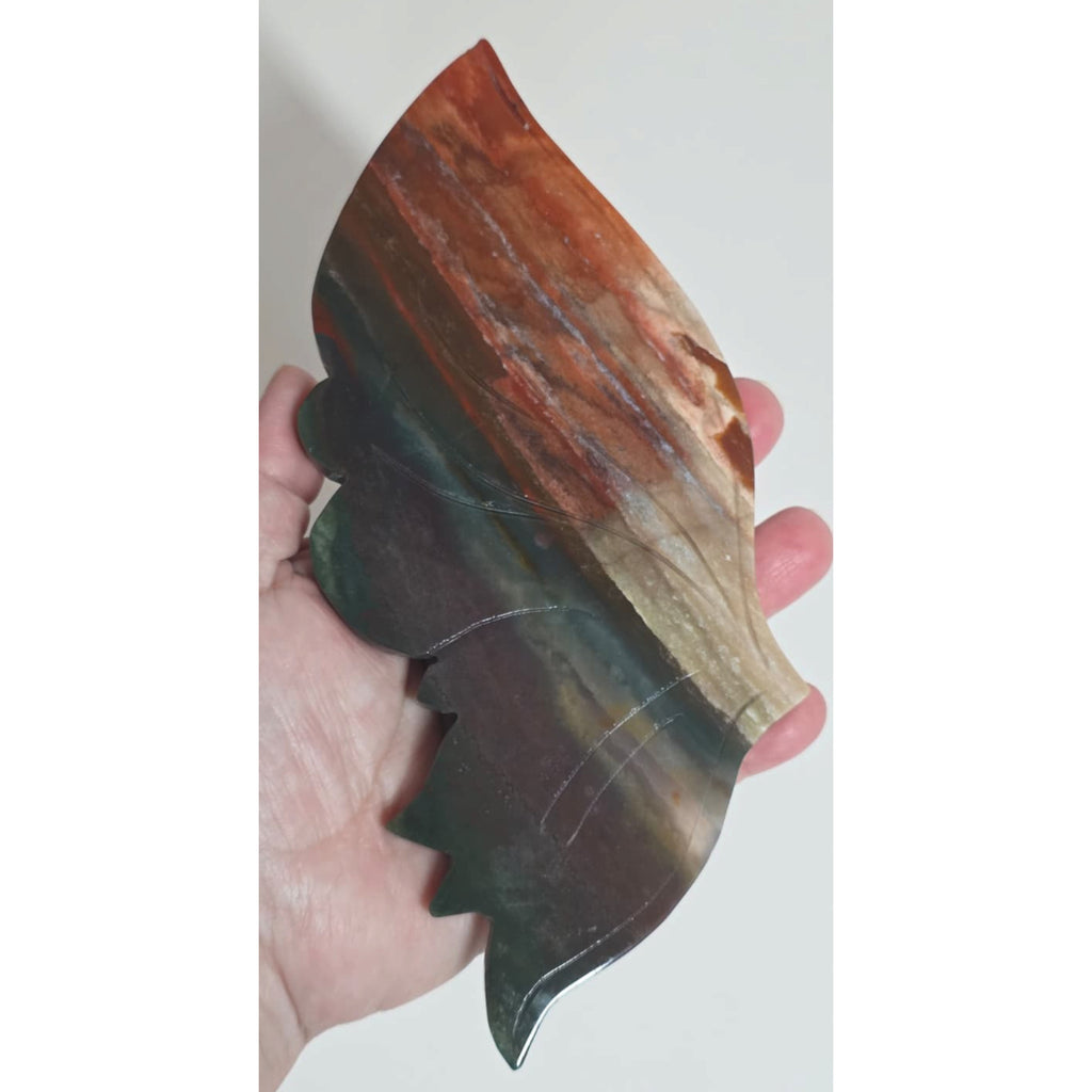 Close view of red black and cream bands on an agate butterfly wing