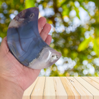 Blue Flower Agate Moon on Gold Stand