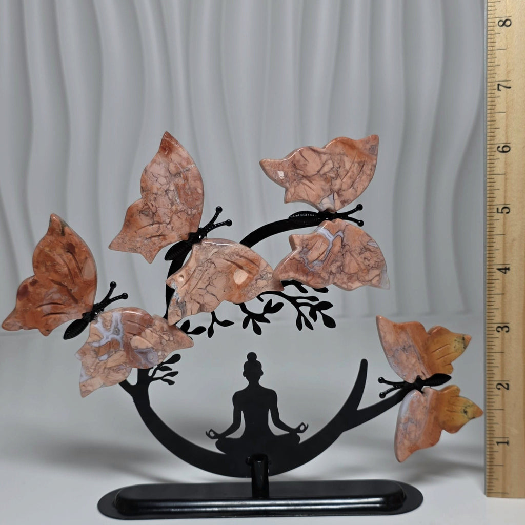 Cotton Candy Butterfly Tree height shown beside a ruler