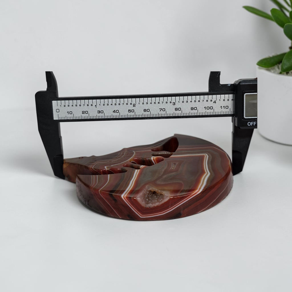 Carnelian Agate Howling Wolf Crescent Moon Carving with Stand