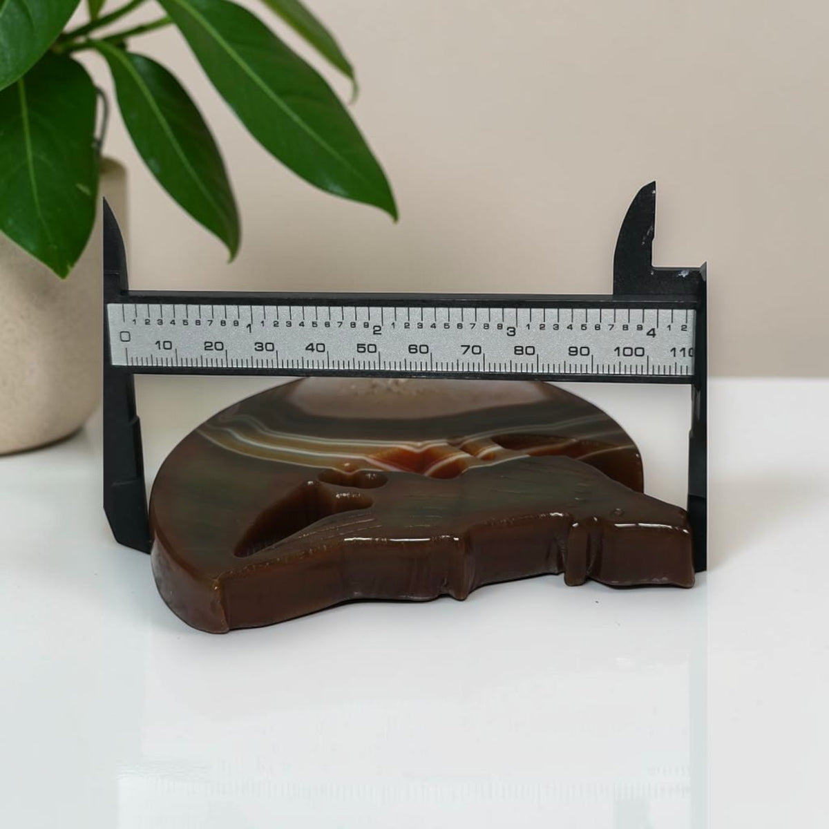 Carnelian Agate Wolf Moon Carving with Stand