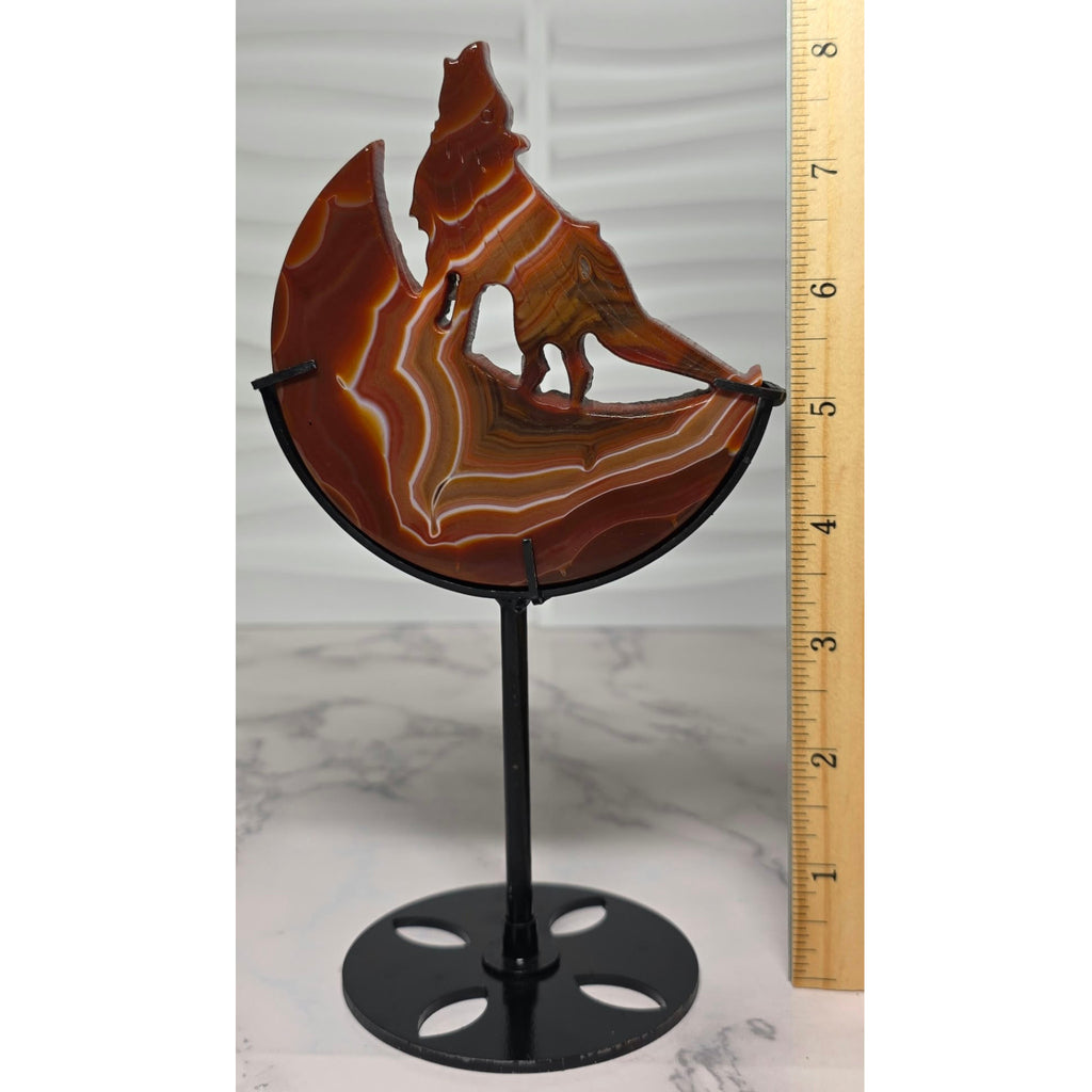 Carnelian wolf moon sculpture front view with measurement