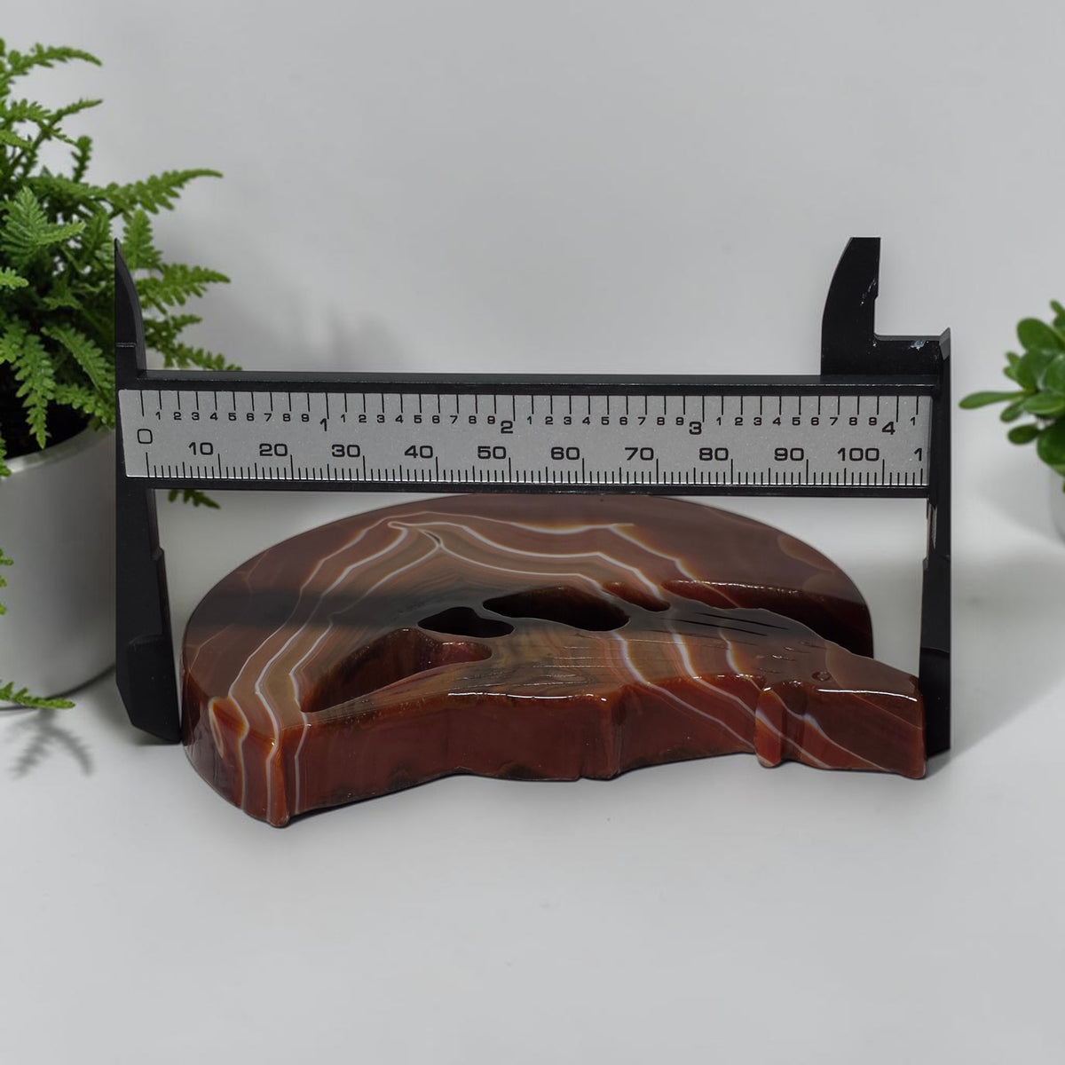 Carnelian wolf moon sculpture width measurement