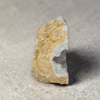 Quartz drusy geode specimen with tan outer matrix and cavity filled with crystals.