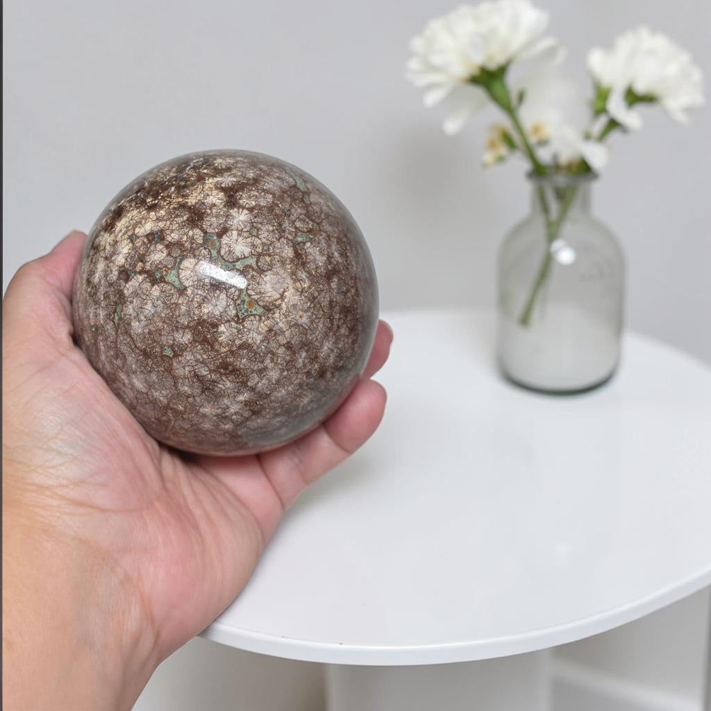 Coral jasper sphere 80mm in hand, mottled brown with veined gemstone pattern