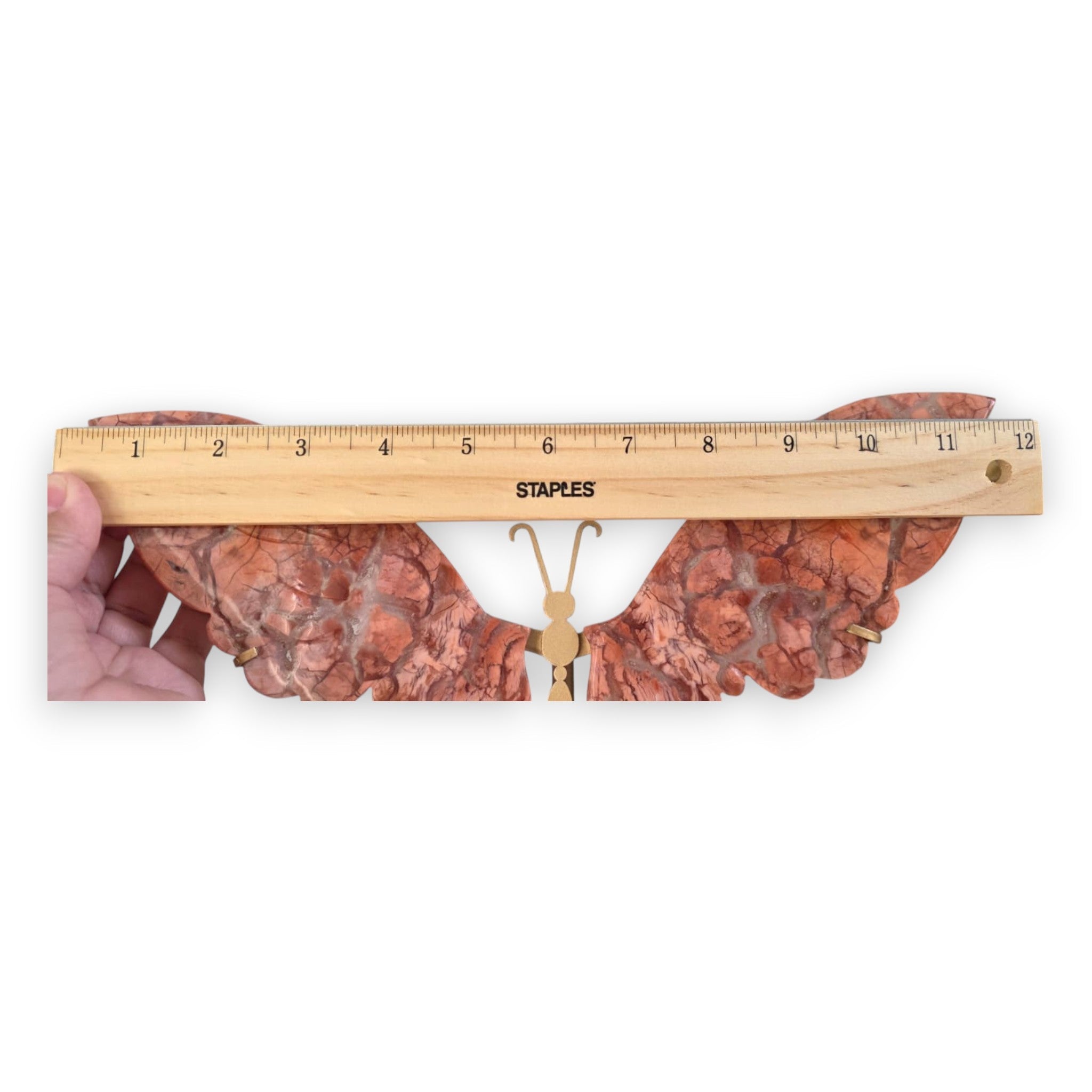 Cotton Candy Agate butterfly wingspan ruler reference, 12 inches