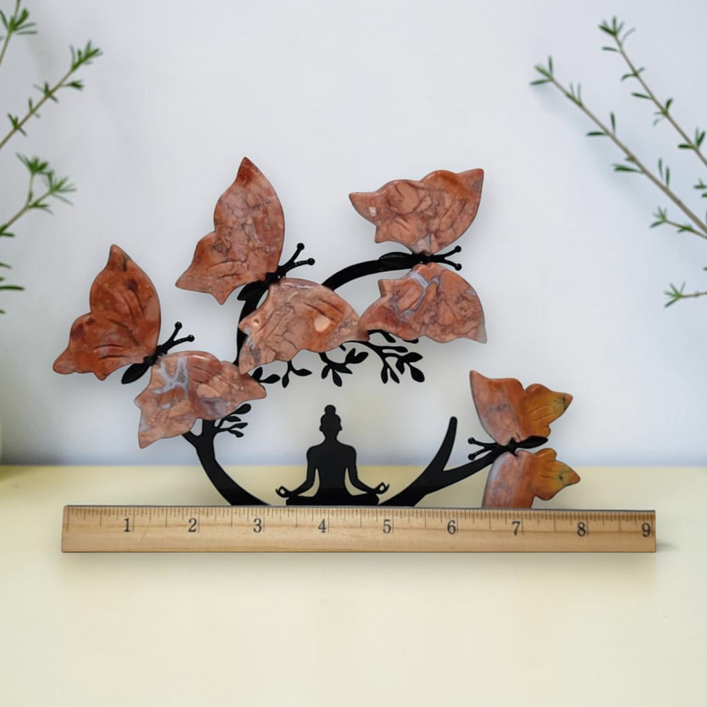 Cotton Candy Butterfly Tree width shown with a ruler