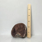 Amethyst quartz druzy freeform stone with dark purple sparkly face, beside ruler.