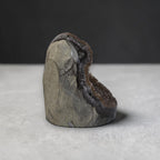 Brown amethyst geode mineral specimen with rough druzy pocket and gray crystal ridges
