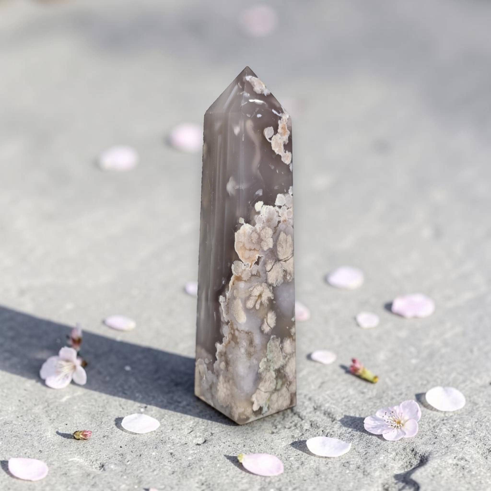 Flower Agate Tower 6.5 Inch Blossom Agate Crystal Point Natural Stone