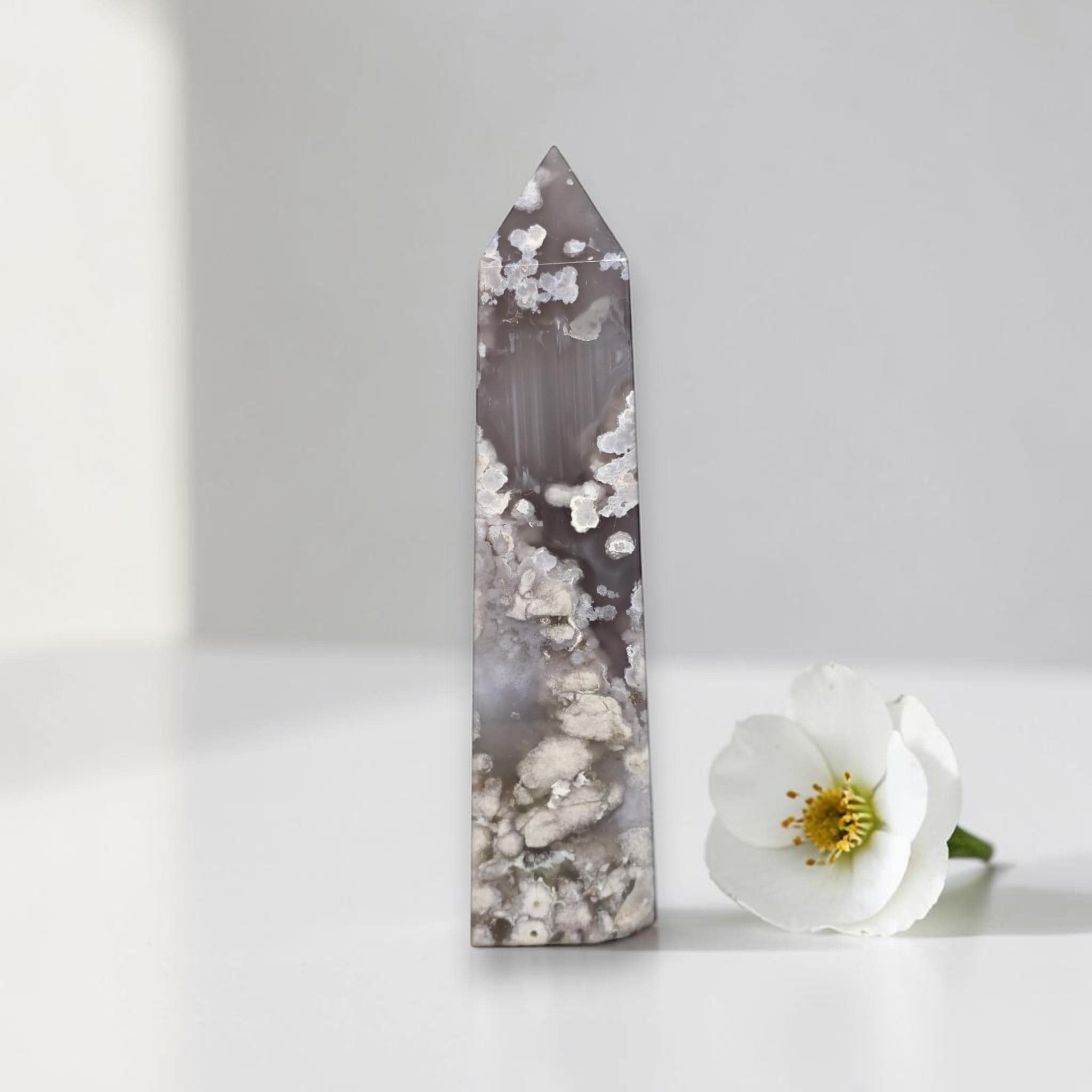 Flower Agate Tower 6.5 Inch Blossom Agate Crystal Point Natural Stone