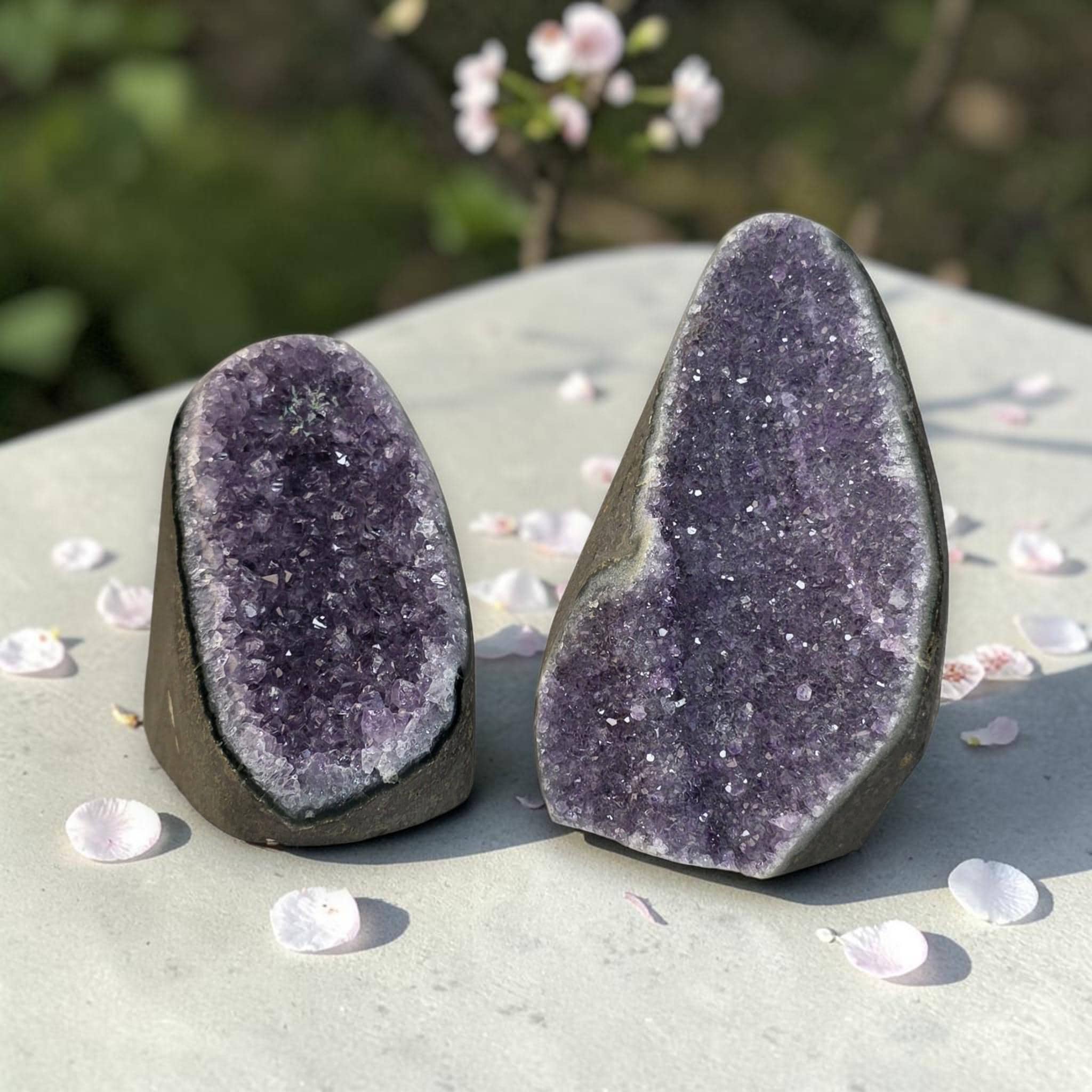 Amethyst Druzy Freeform, Purple Quartz Cluster, Healing Stone, Reiki Gift, Spiritual Home Accent