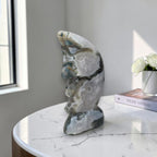 Moss Agate Moon Face Carving, Hand Carved Sculpture, Celestial Home Decor