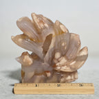 Flower Agate Nine Tails Fox – size reference with ruler