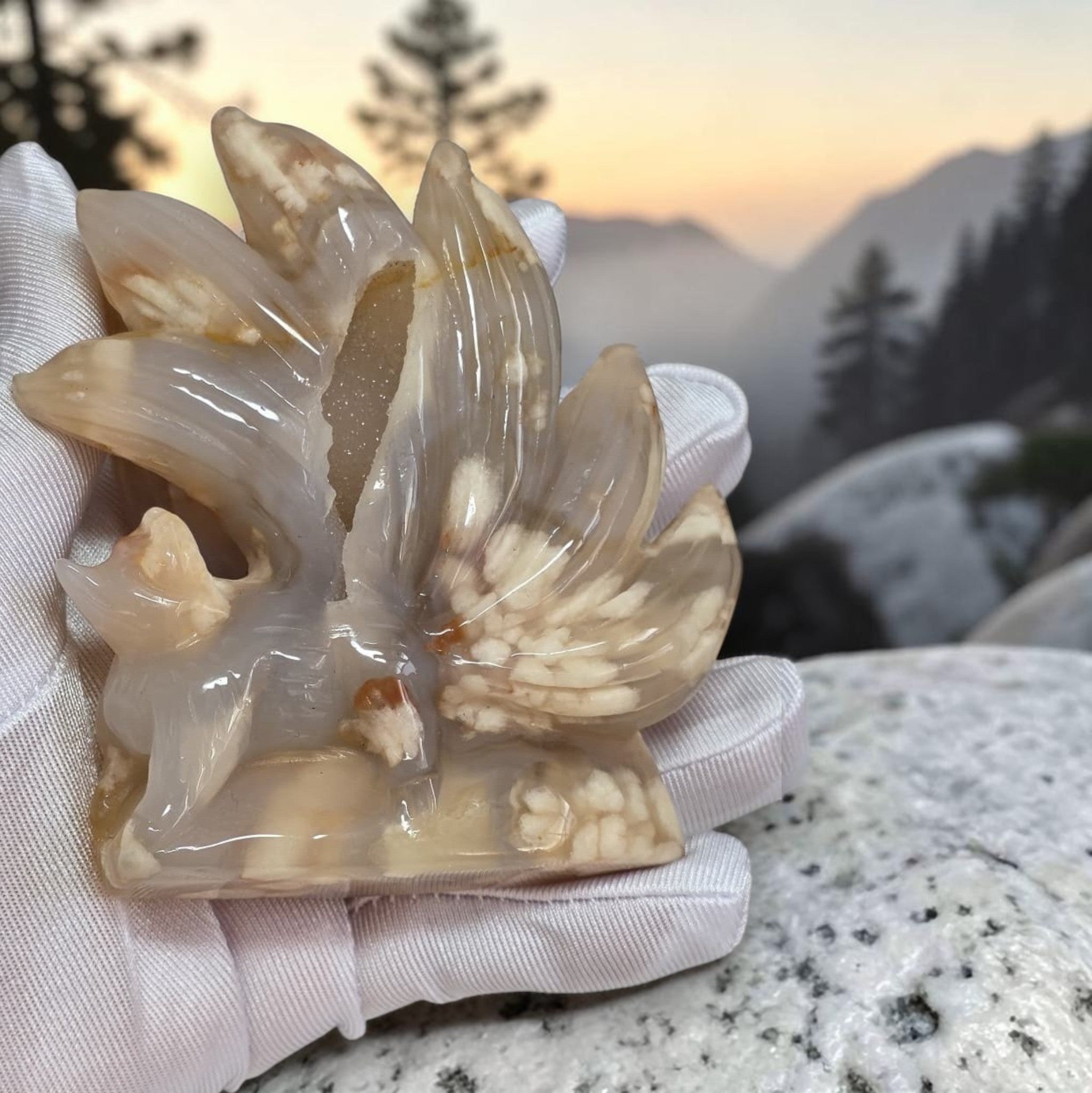 Flower Agate Nine Tails Fox – handheld at sunset