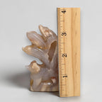 Flower Agate Nine Tails Fox – height reference with ruler