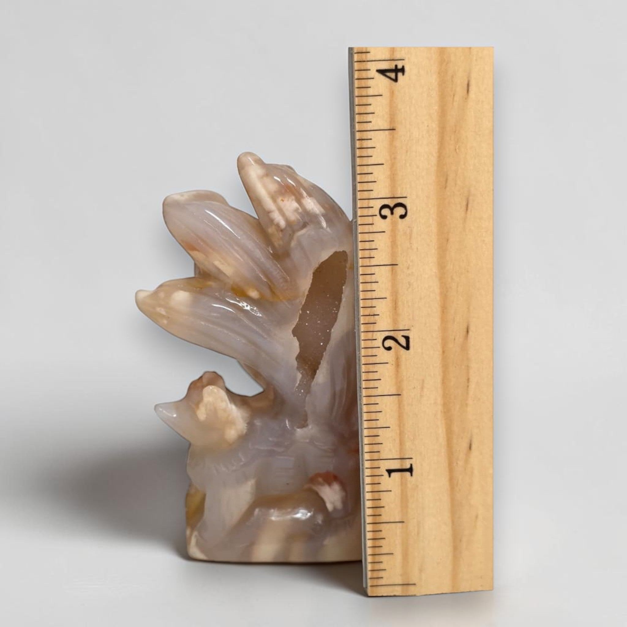 Flower Agate Nine Tails Fox – height reference with ruler