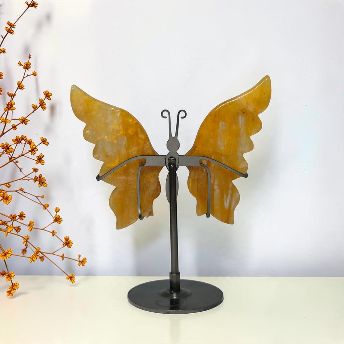 Back view of the Golden Healer butterfly and black stand