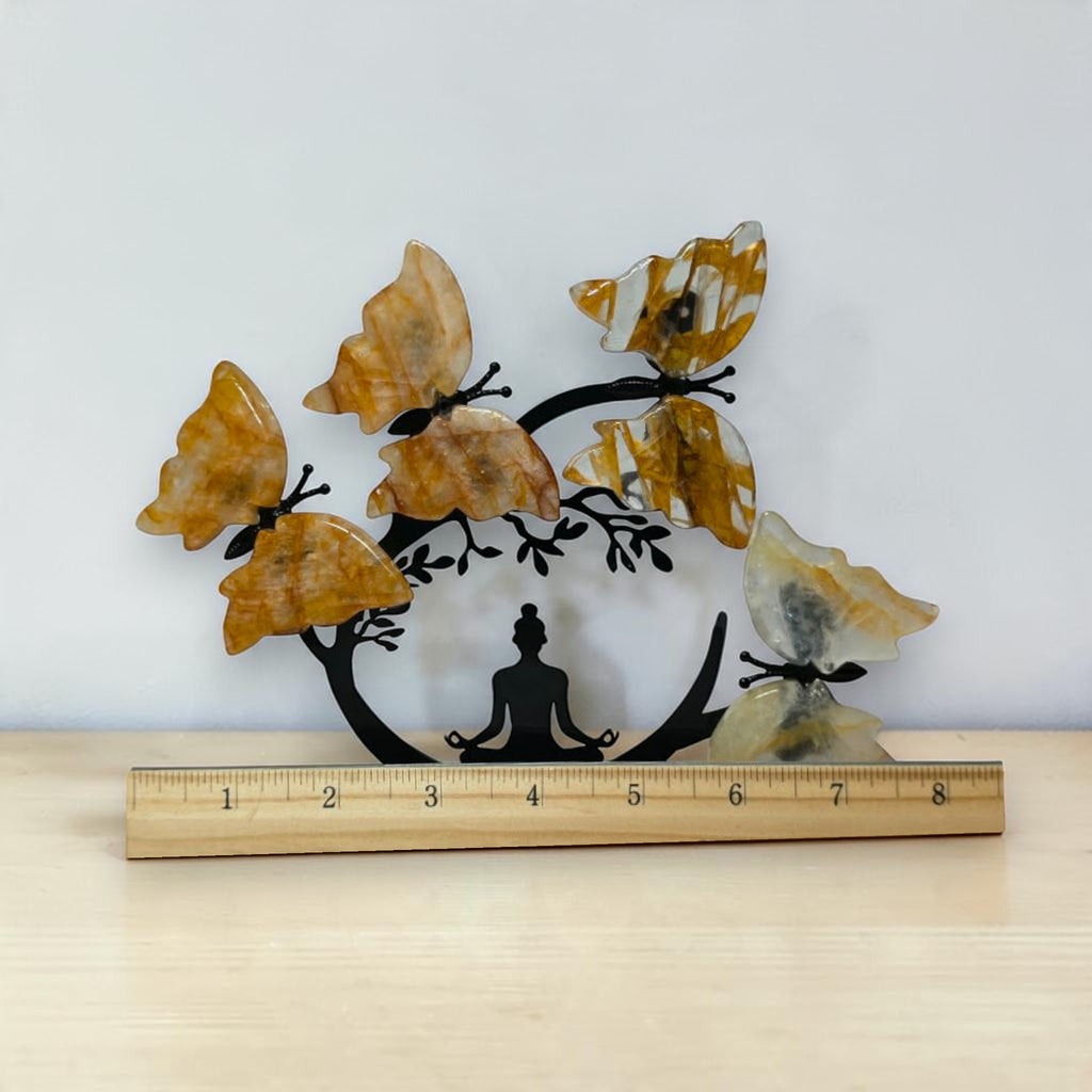 Golden Healer butterfly tree width shown beside an inch ruler