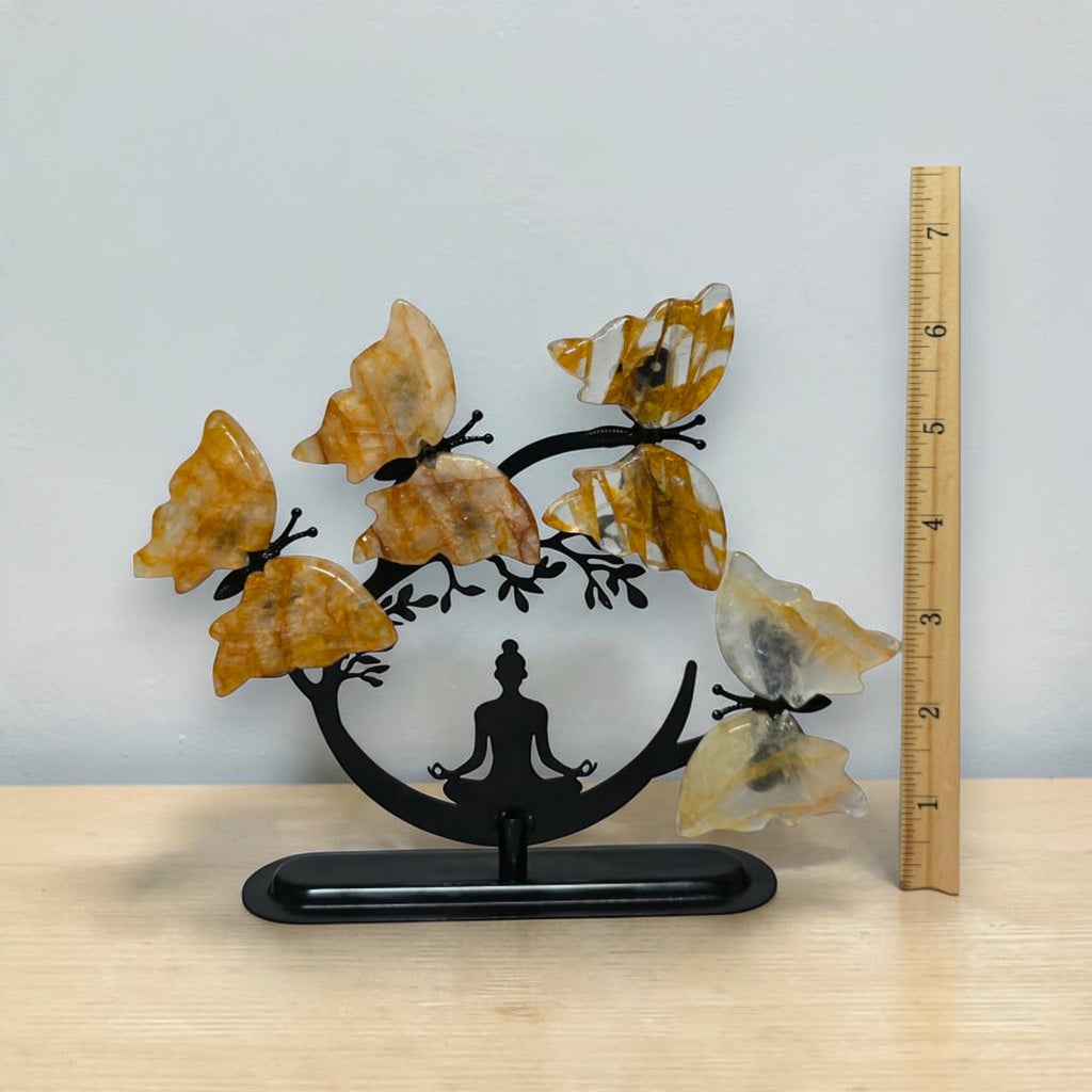 Golden Healer butterfly tree height shown beside an inch ruler