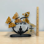 Golden Healer butterfly tree height shown beside an inch ruler