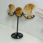 Angled view of the Golden Healer Quartz triple moon display