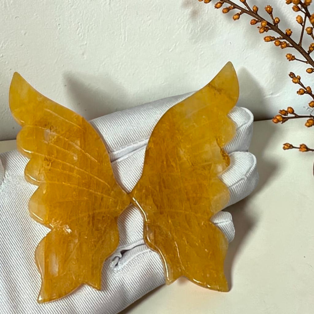 Close view of polished golden yellow quartz butterfly wings in a gloved hand