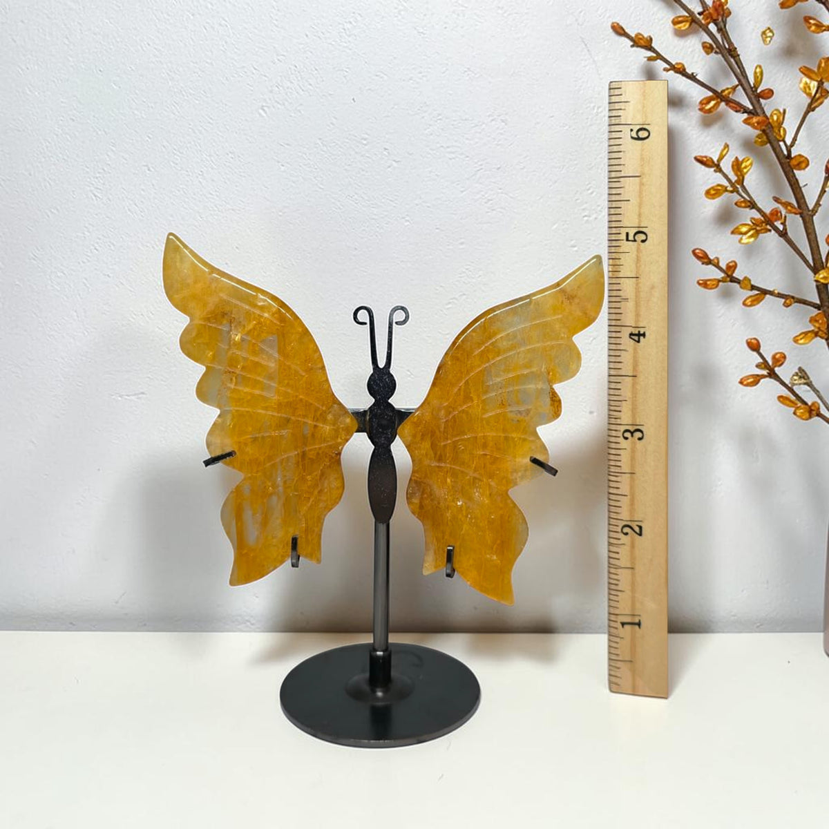Golden Healer butterfly height with stand shown beside an inch ruler