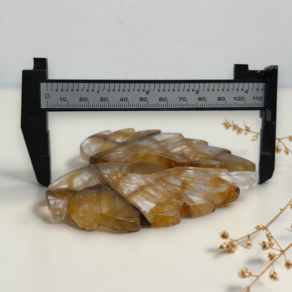 Width measurement of the Golden Healer quartz wings