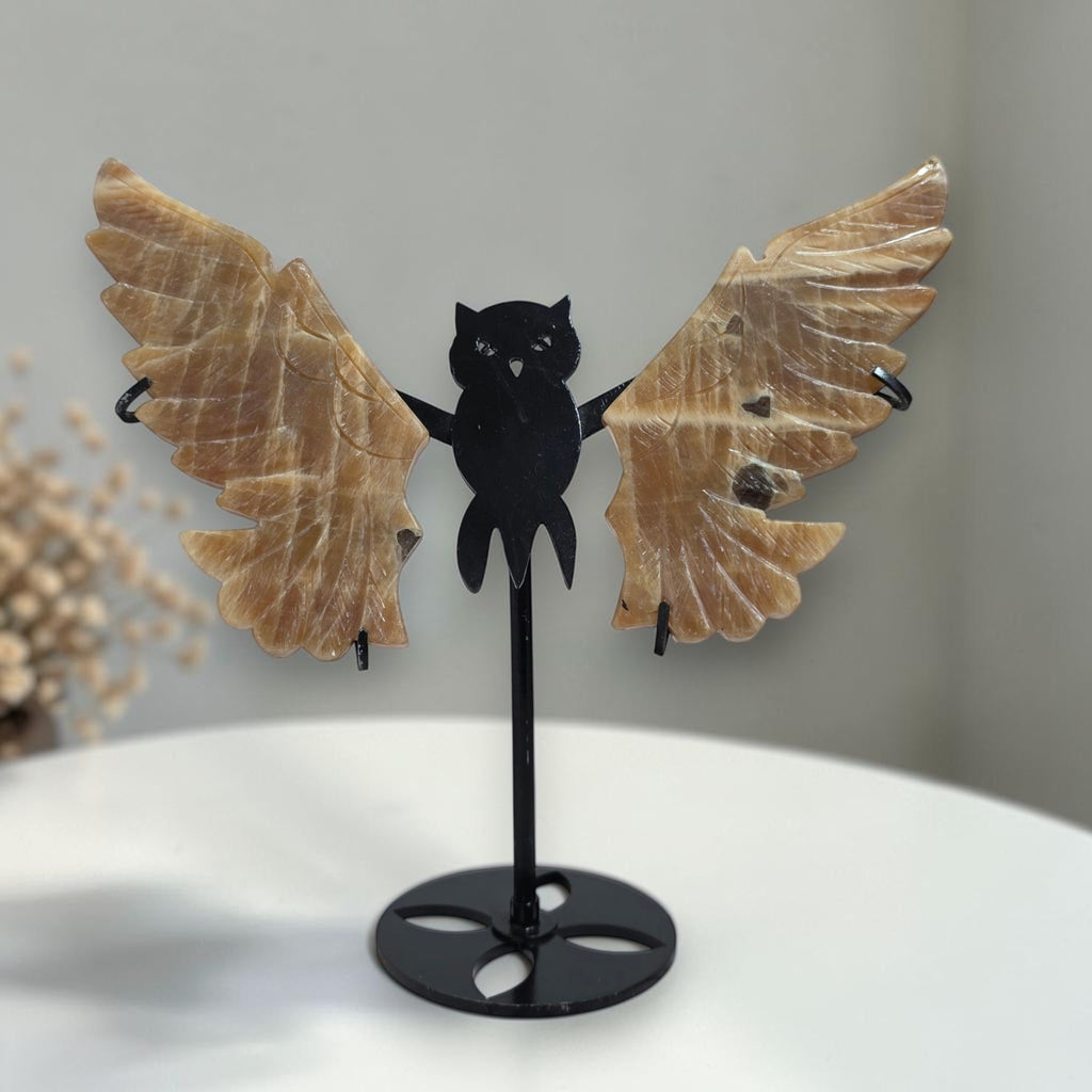 Honey Calcite owl wings and black owl stand on display