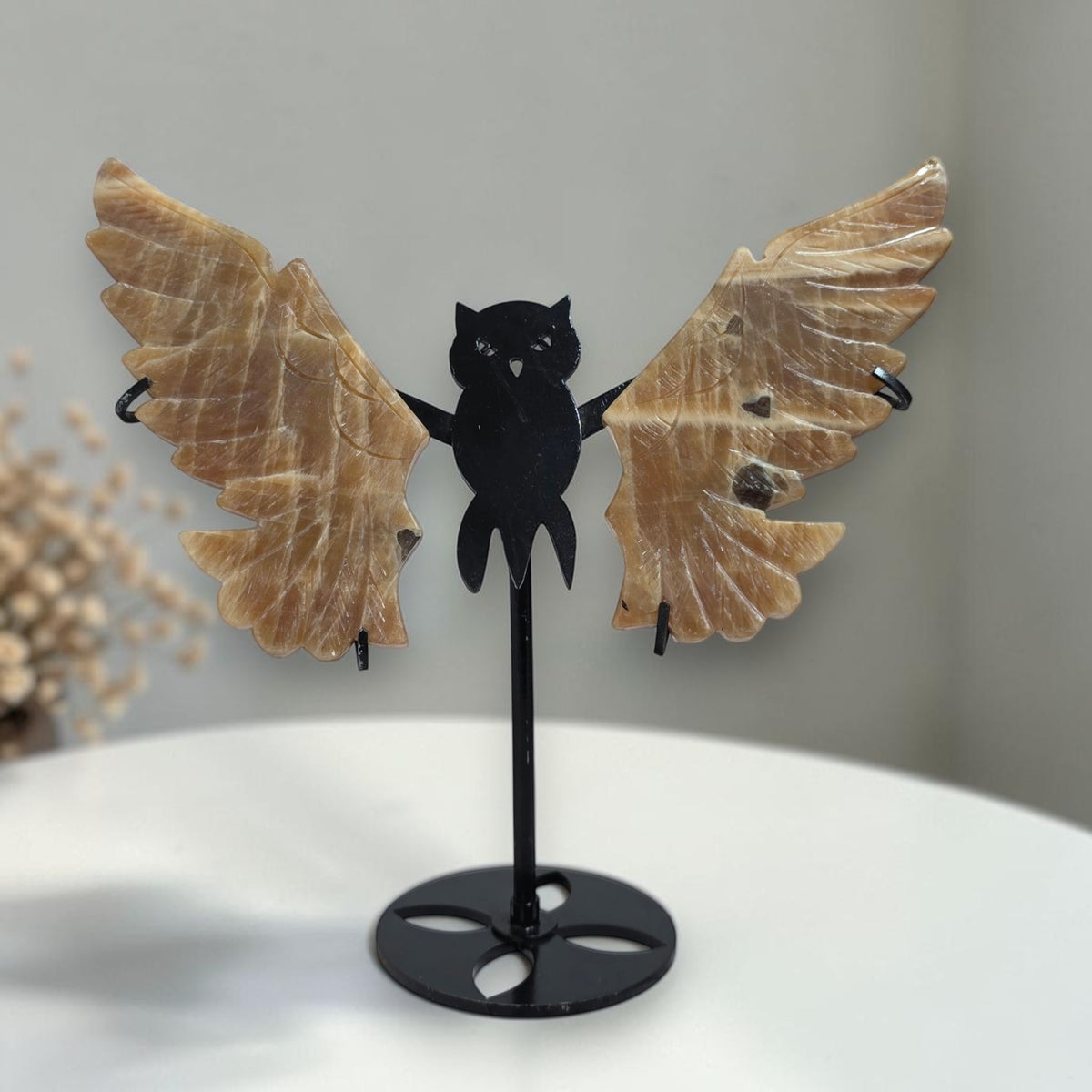 Honey Calcite owl wings and black owl stand on display