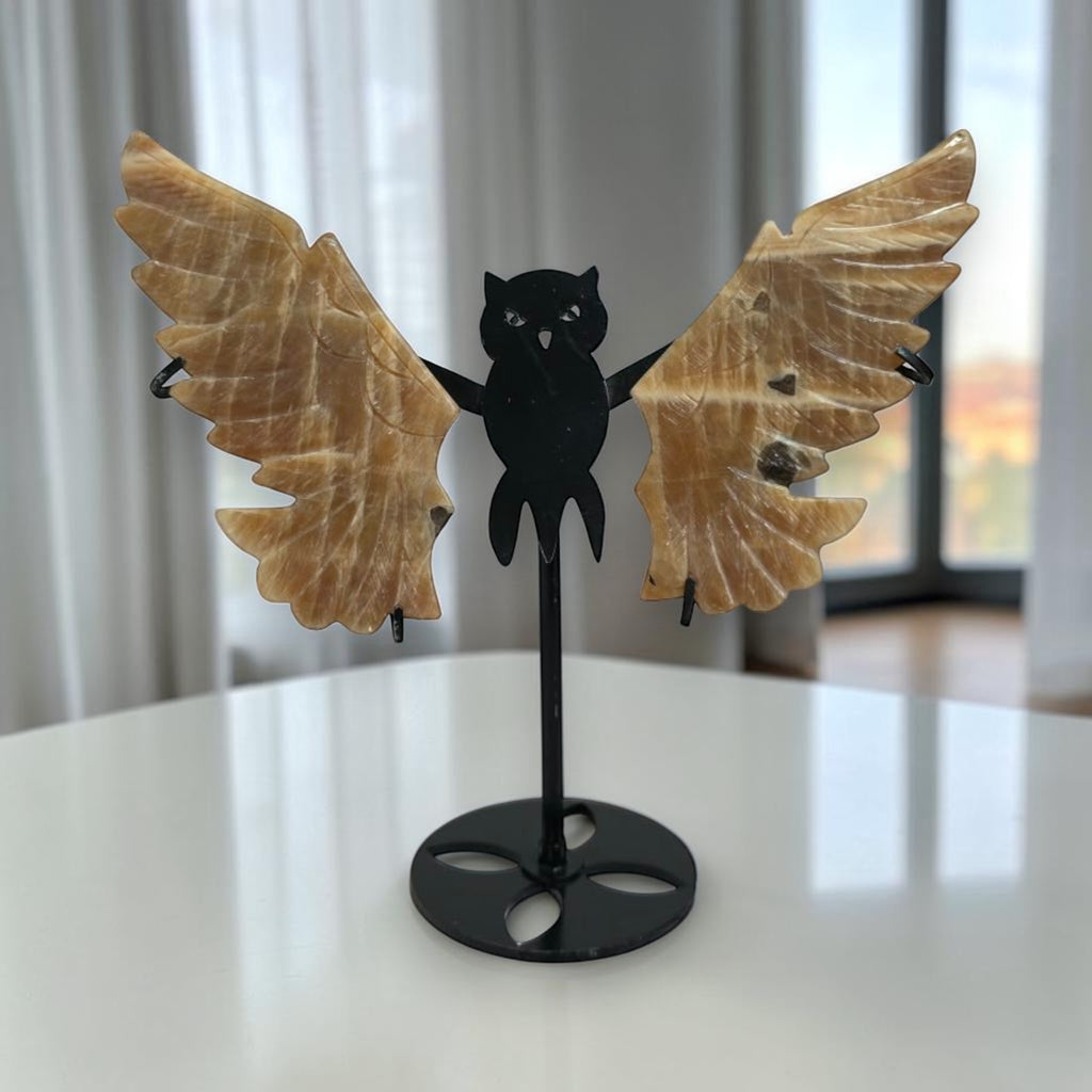 Front view of carved Honey Calcite owl wings with black owl stand