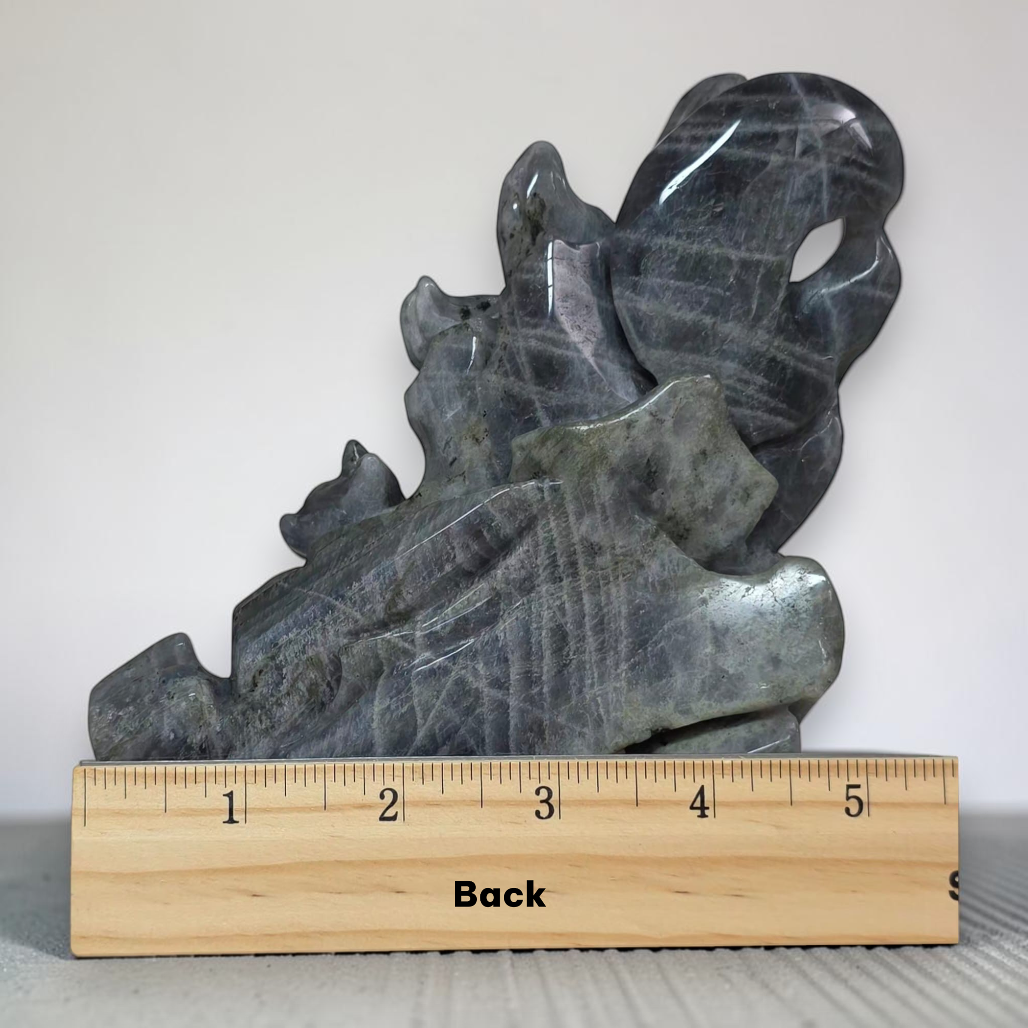 A polished dark gray stone sculpture with natural organic contours, shown standing upright on a wooden ruler labeled 'Back' to indicate orientation. The ruler is placed against a plain light gray background.