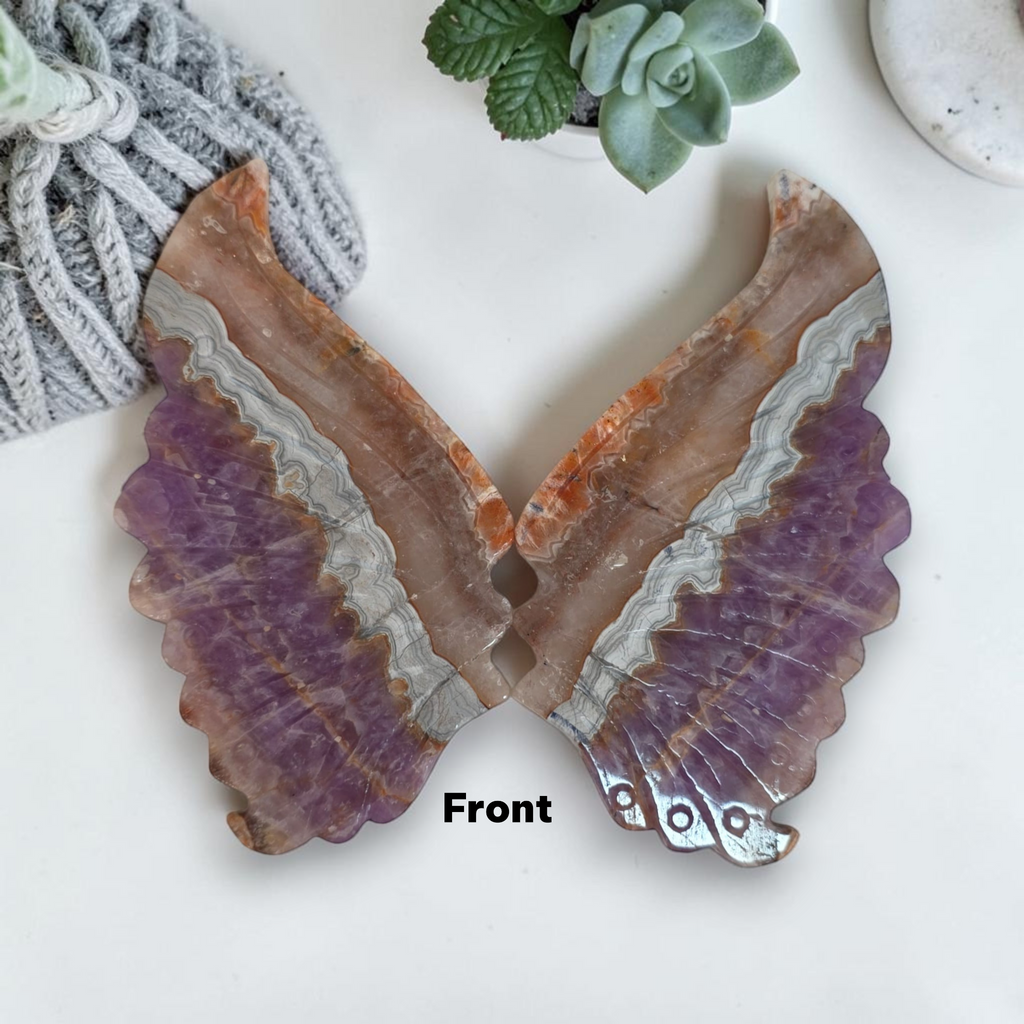 Butterfly wing pair on stand, purple and caramel tones with cream wavy stripes