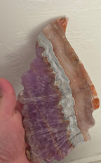Handheld purple and tan agate butterfly wing, cream veining and scalloped edge