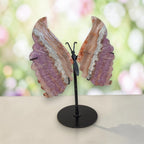 Butterfly wings on black stand, purple and tan with white lace-like banding